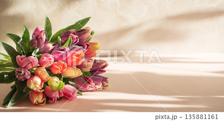 Tulip Bouquet ion Beige Background with Dramatic Shadows. Elegant Spring Still Life 135881161