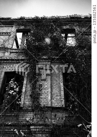 Abandoned Brick Building Covered With Ivy 135882561