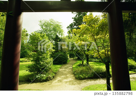 Japanese garden in Leverkusen 135882798