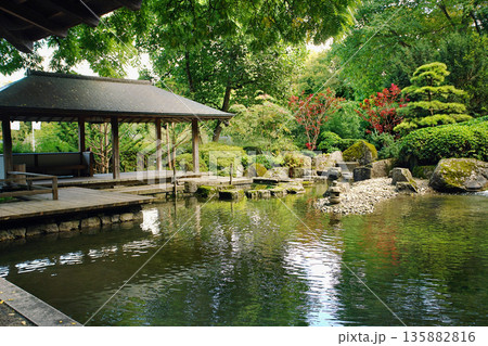Japanese garden in Augsburg: pond and pavilion and cascade of waterfalls 135882816