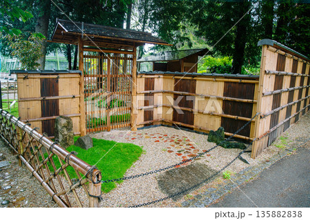 Awe Bamboo wallr in Japanese garden 135882838