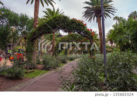 Tropical Pergola Walkway with Flowering Arches in Garcia Sanabria Park 135883324