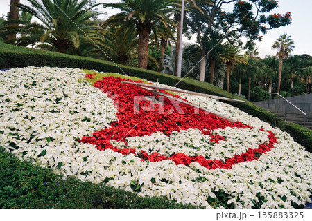 Garcia Sanabria Park in Santa Cruz de Tenerife with Palm Trees and Floral Clock Garcia Sanabria Park in Santa Cruz de Tenerife with Palm Trees and Floral Clock 135883325
