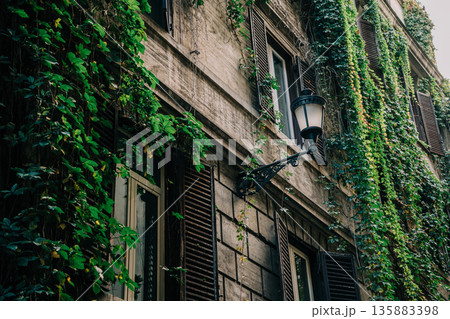 Vintage Lantern on Old Brick Building Facade with Greenery in Soft Daylight 135883398