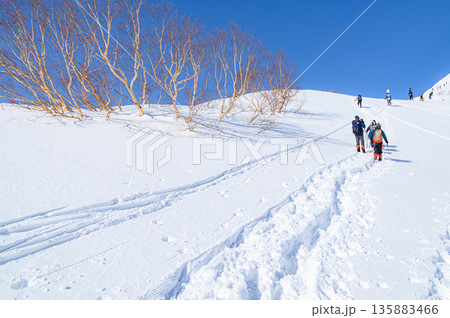 谷川岳天神尾根の雪景色・青空と急登を登る登山者 135883466