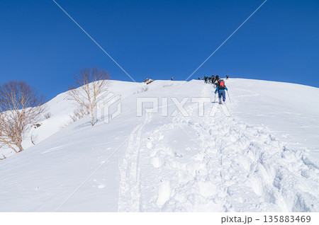 谷川岳天神尾根の雪景色・青空と急登を登る登山者 135883469