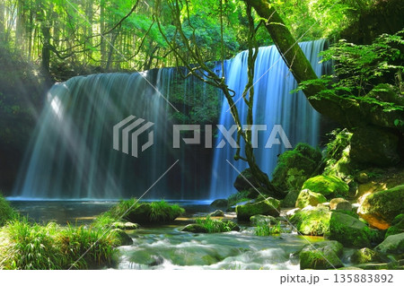 光さす鍋ヶ滝（熊本県小国町） 135883892