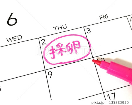 採卵のスケジュール 採卵のスケジュール 135883930