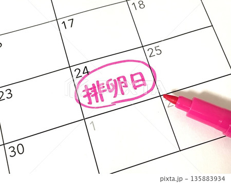 排卵日のスケジュール 排卵日のスケジュール 135883934