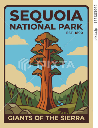 Sequoia National Park poster. Vector vintage illustration Sequoia National Park poster. Vector vintage illustration 135883962