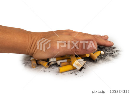 cigarette pile hand butt isolated on white background cigarette pile hand butt isolated on white background 135884335