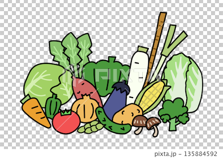 落書き風の野菜が集まったイラスト 135884592