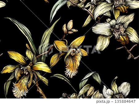 Vanilla orchid botanical seamless pattern.  135884647