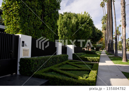 Palm tree lined sidewalk with manicured hedges in upscale neighborhood Palm tree lined sidewalk with manicured hedges in upscale neighborhood 135884782