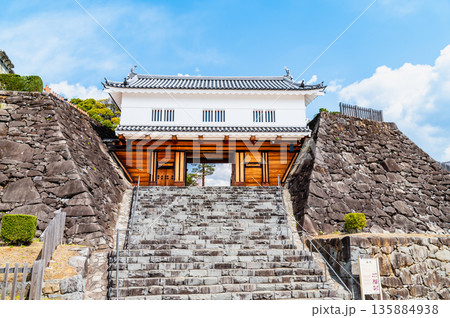 山梨 桜満開の舞鶴城公園　鉄門 135884938