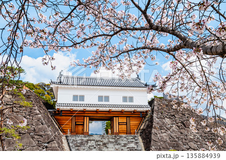 山梨 桜満開の舞鶴城公園　鉄門 135884939
