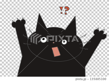 Surprised black cat 135885100