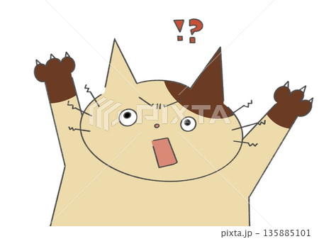 びっくりしているバイカラーの猫 135885101