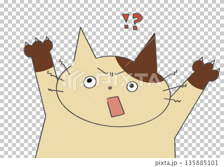 びっくりしているバイカラーの猫 135885101