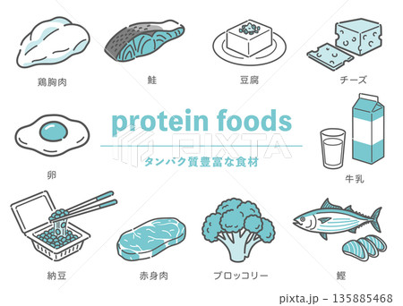 タンパク質が豊富な食材のイラストセット(肉・魚・豆・乳製品・野菜) タンパク質が豊富な食材のイラストセット(肉・魚・豆・乳製品・野菜) 135885468