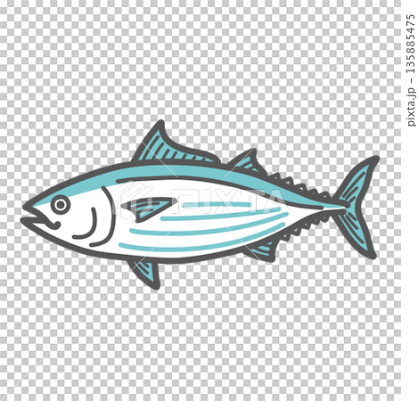 鰹魚(蛋白質食物/魚類)插圖 鰹魚(蛋白質食物/魚類)插圖 135885475