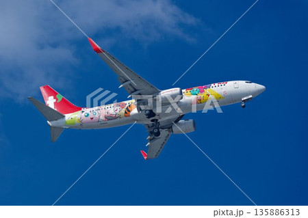ティーウェイ航空のピカチュウジェットTW 135886313
