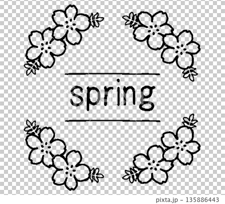 Nemophila spring monochrome illustration Nemophila spring monochrome illustration 135886443