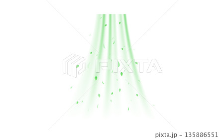 Green swirl with leafs 135886551