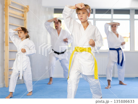 Family with children training karate techniques 135886633