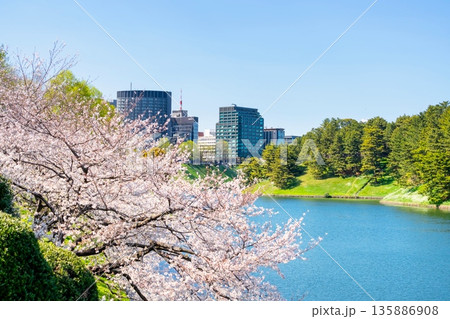 東京・皇居　桜田濠の桜 135886908