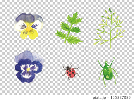 春の草花と虫たち 135887089