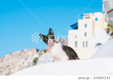 サントリーニのホテルでとる朝食 135887233