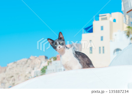 サントリーニのホテルでとる朝食 サントリーニのホテルでとる朝食 135887234