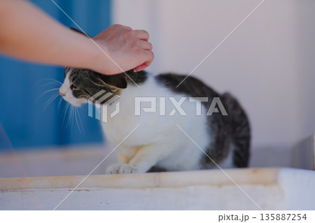 サントリーニのホテルでとる朝食 135887254