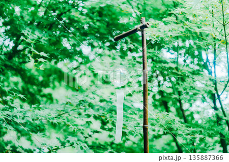 正寿院の美しい風鈴 正寿院の美しい風鈴 135887366