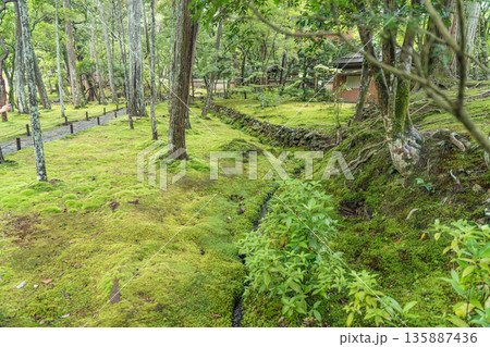西芳寺(苔寺)の美しい庭園 西芳寺(苔寺)の美しい庭園 135887436