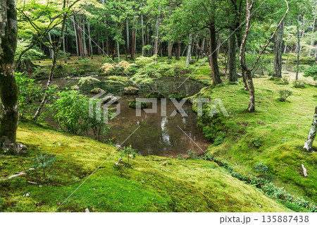 西芳寺（苔寺）の美しい庭園 135887438