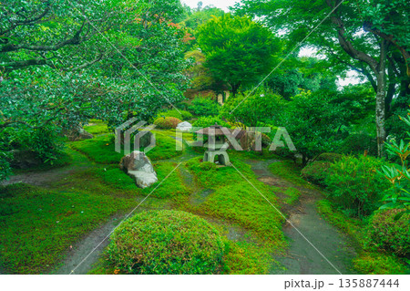 西芳寺（苔寺）の美しい庭園 135887444