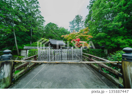 西芳寺(苔寺)の美しい庭園 西芳寺(苔寺)の美しい庭園 135887447