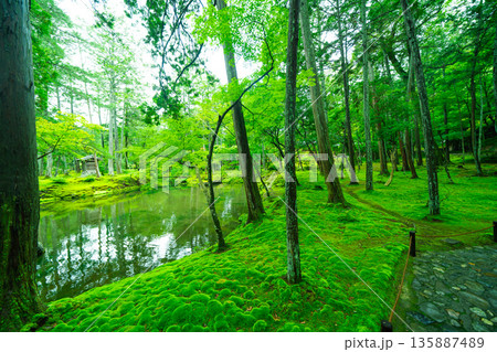 西芳寺(苔寺)の美しい庭園 西芳寺(苔寺)の美しい庭園 135887489