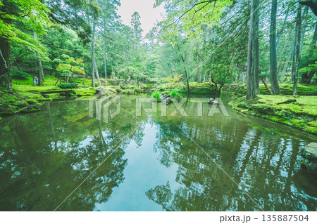 西芳寺（苔寺）の美しい庭園 135887504