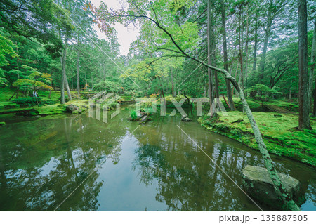 西芳寺(苔寺)の美しい庭園 西芳寺(苔寺)の美しい庭園 135887505