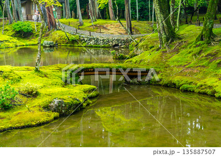 西芳寺(苔寺)の美しい庭園 西芳寺(苔寺)の美しい庭園 135887507