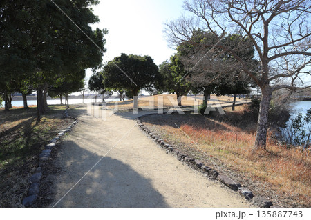 冬晴れの 加古大池さんぽみち(兵庫県 稲美町) 冬晴れの 加古大池さんぽみち(兵庫県 稲美町) 135887743