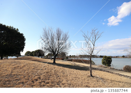 冬晴れの 加古大池さんぽみち(兵庫県 稲美町) 冬晴れの 加古大池さんぽみち(兵庫県 稲美町) 135887744