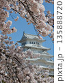 満開の桜と日本の城 135888720