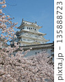 姫路城と満開の桜 135888723