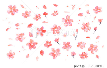 桜イラスト。水彩画で描いた桜の春背景。桜のベクターイラスト。春の桜フレーム。 桜イラスト。水彩画で描いた桜の春背景。桜のベクターイラスト。春の桜フレーム。 135888915