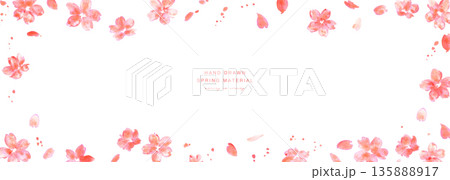 桜イラスト。水彩画で描いた桜の春背景。桜のベクターイラスト。春の桜フレーム。 135888917