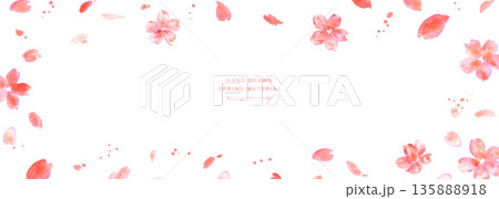 桜イラスト。水彩画で描いた桜の春背景。桜のベクターイラスト。春の桜フレーム。 135888918